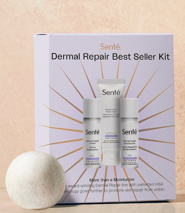 Dermal Repair Best Seller Kit