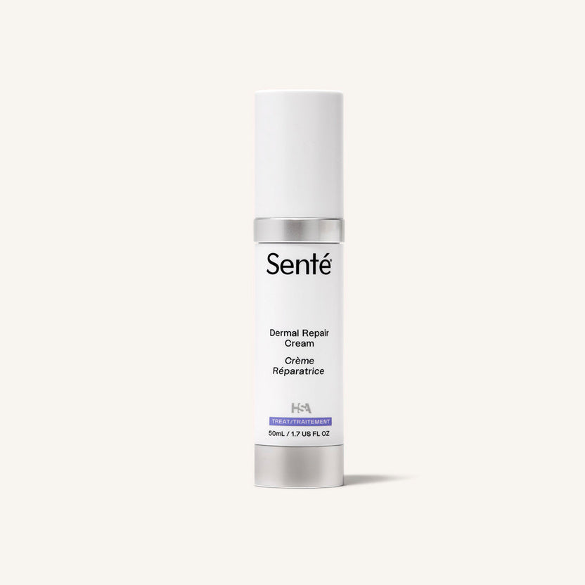 Dermal Repair Cream | Hydrate and Renew Your Skin | Senté